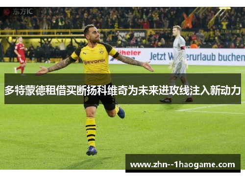 多特蒙德租借买断扬科维奇为未来进攻线注入新动力 多特蒙德租借买断扬科维奇为未来进攻线注入新动力